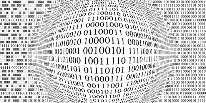 GDJ_binary-data-network