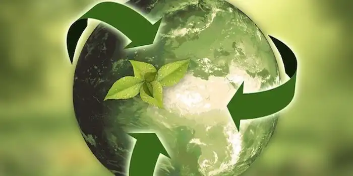 anncapictures-nature-ecology-recycling