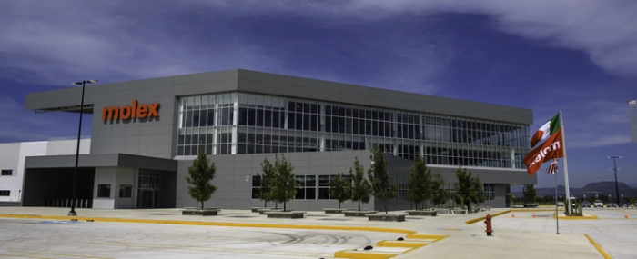 Guadalajara-mexico-plant