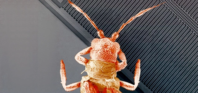 mems-sensors