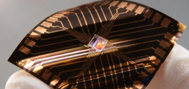 tsr-CFP-Chip