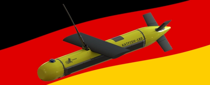 german-subsidiary