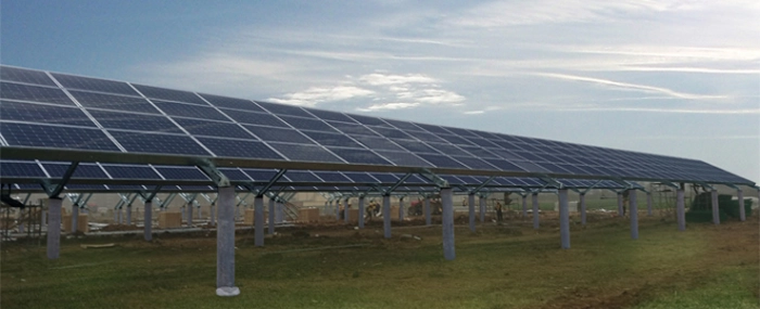 Jiangs-North-Greenhouse