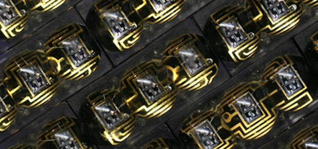 details-on-board1-l