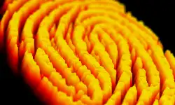 3d-fingerprint