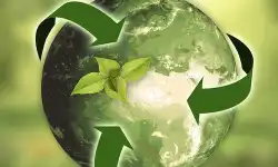 anncapictures-nature-ecology-recycling