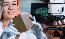 Biologically-inspired-electronics