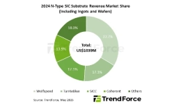2024-SiC-substrate-market-share