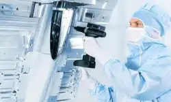 lab