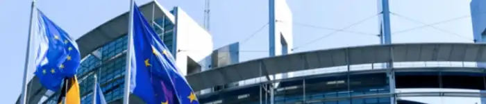 flags