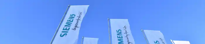 flags-title