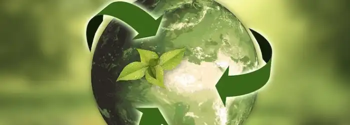 anncapictures-nature-ecology-recycling