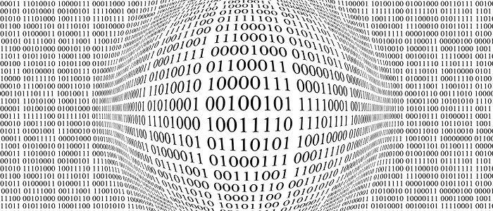 GDJ_binary-data-network