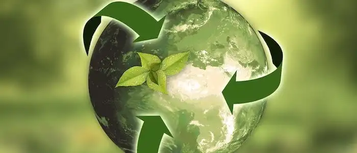 anncapictures-nature-ecology-recycling